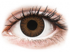 TopVue Color Tageslinsen - Brown - ohne Stärke (10 Linsen)