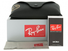 Ray-Ban RB4202 601/8G 